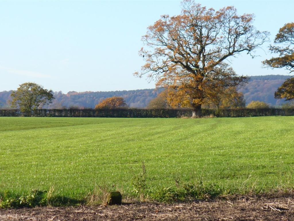 New Hall Farm Ellesmere Port Exteriör bild